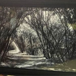 Nature framed photography black and white